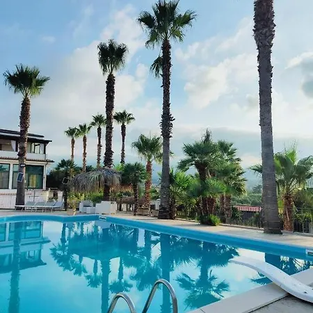 Cocus - By Palmhouse *