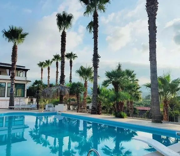 Cocus - By Palmhouse *