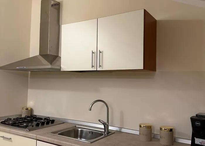 Cocus - By Palmhouse